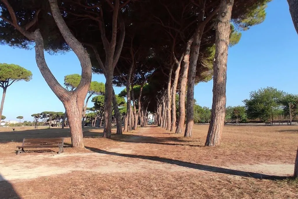 Attico Panoramico Apartment Fiumicino Italy